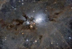 Ngc1333. Un bagliore nell'oscurità