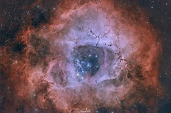 Nebulosa Rosetta