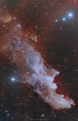 Nebulosa Testa di Strega - IC2118/NGC1909