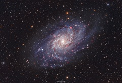 Galassia del Triangolo - M33