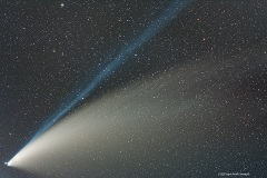 Cometa C/2020 F3 (NEOWISE)